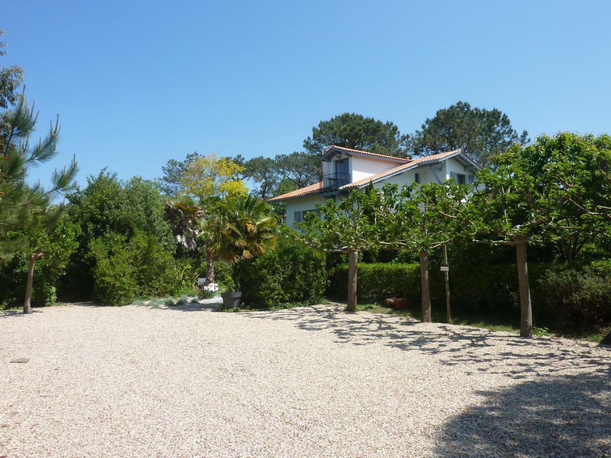 La Cabane D'Arbolateia Piscine & Spa Bidart Exterior photo